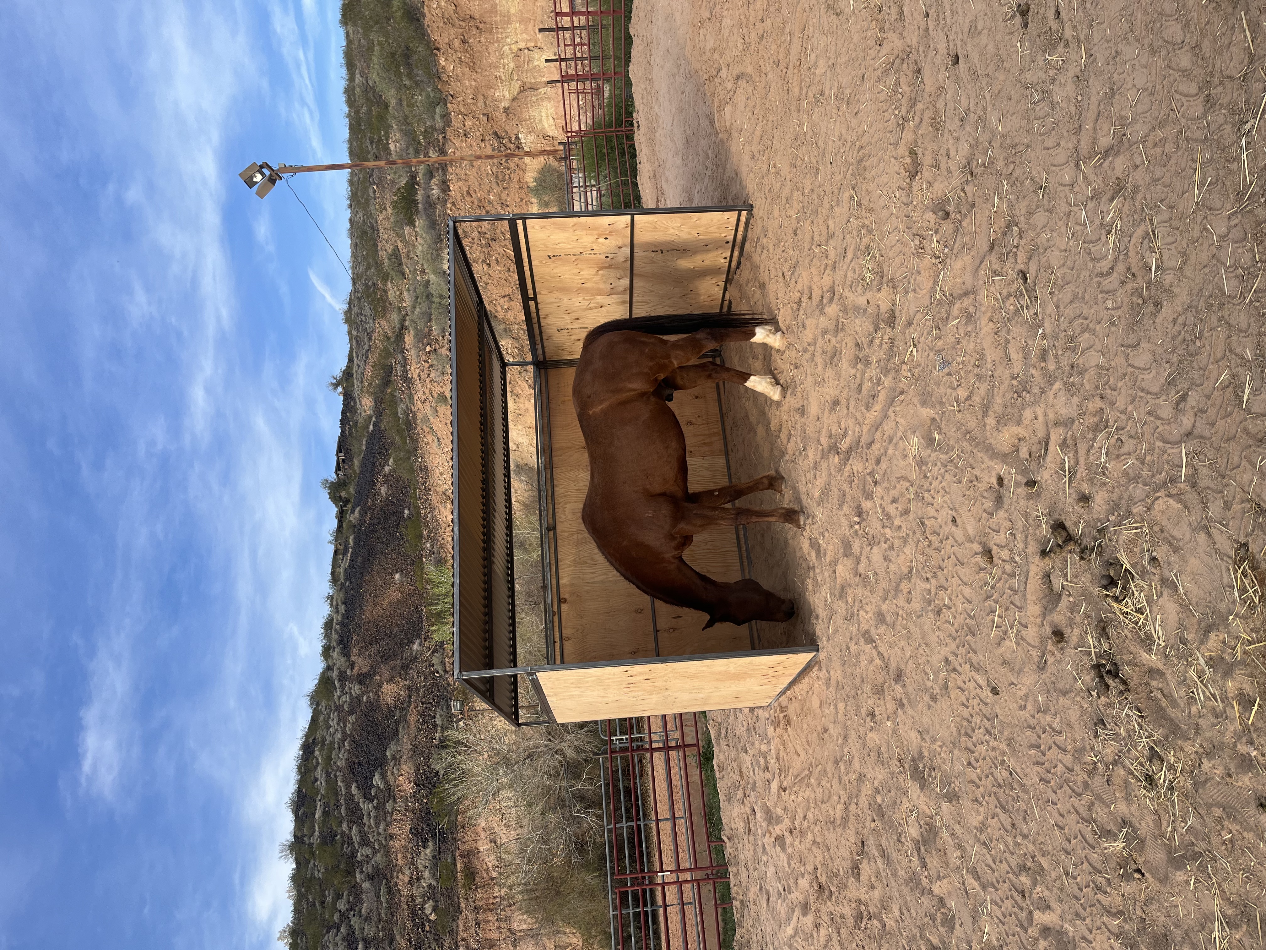 Livestock shelter fabrication